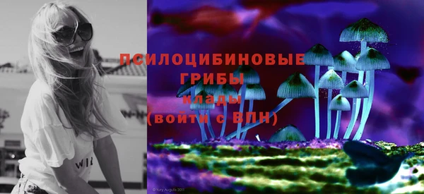 мяу мяу мука Бородино